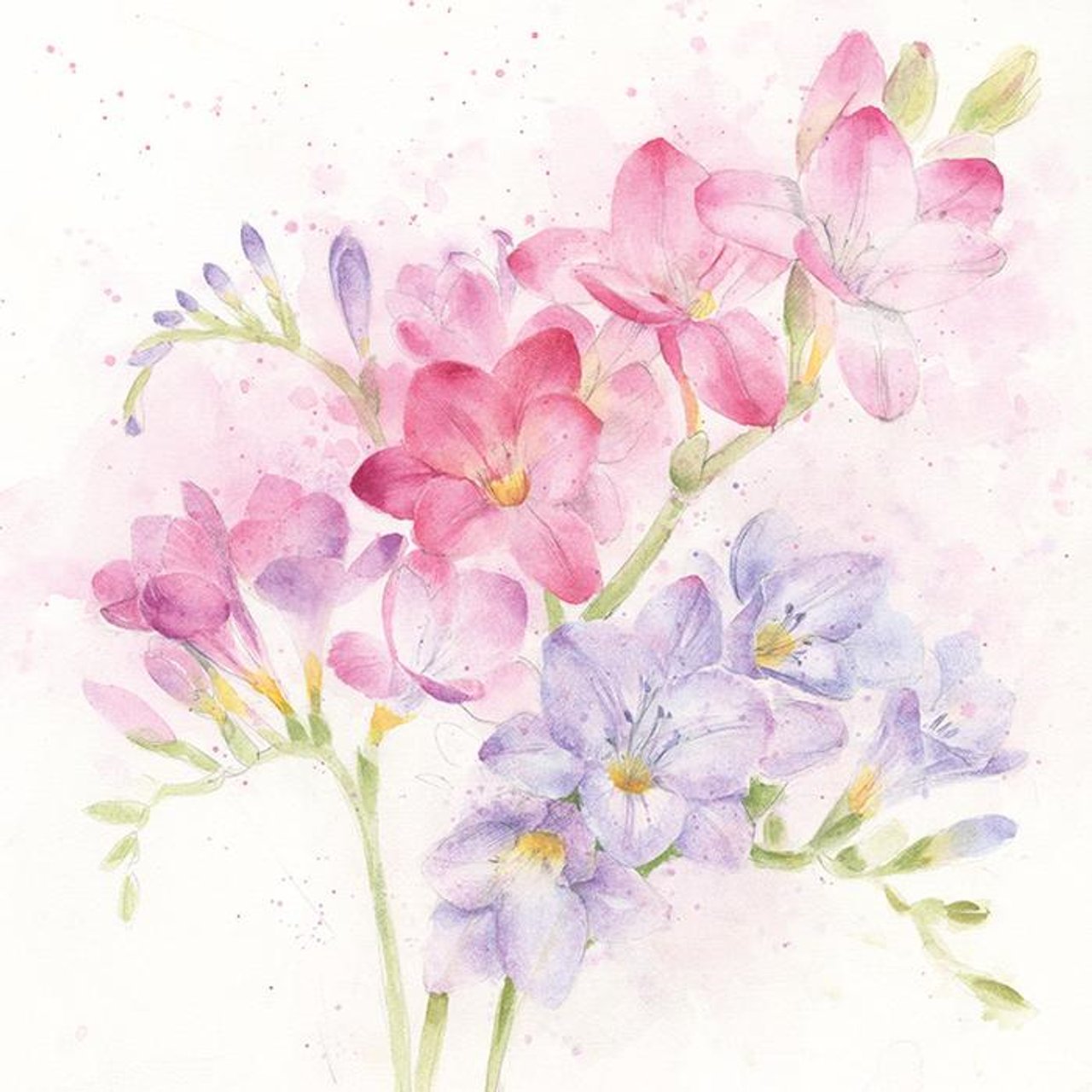 Whistlefish card FREESIAS pink purple