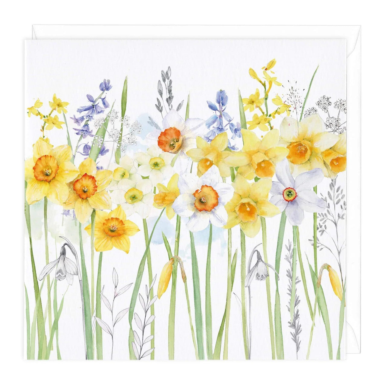 Whistlefish card DAFFODILS
