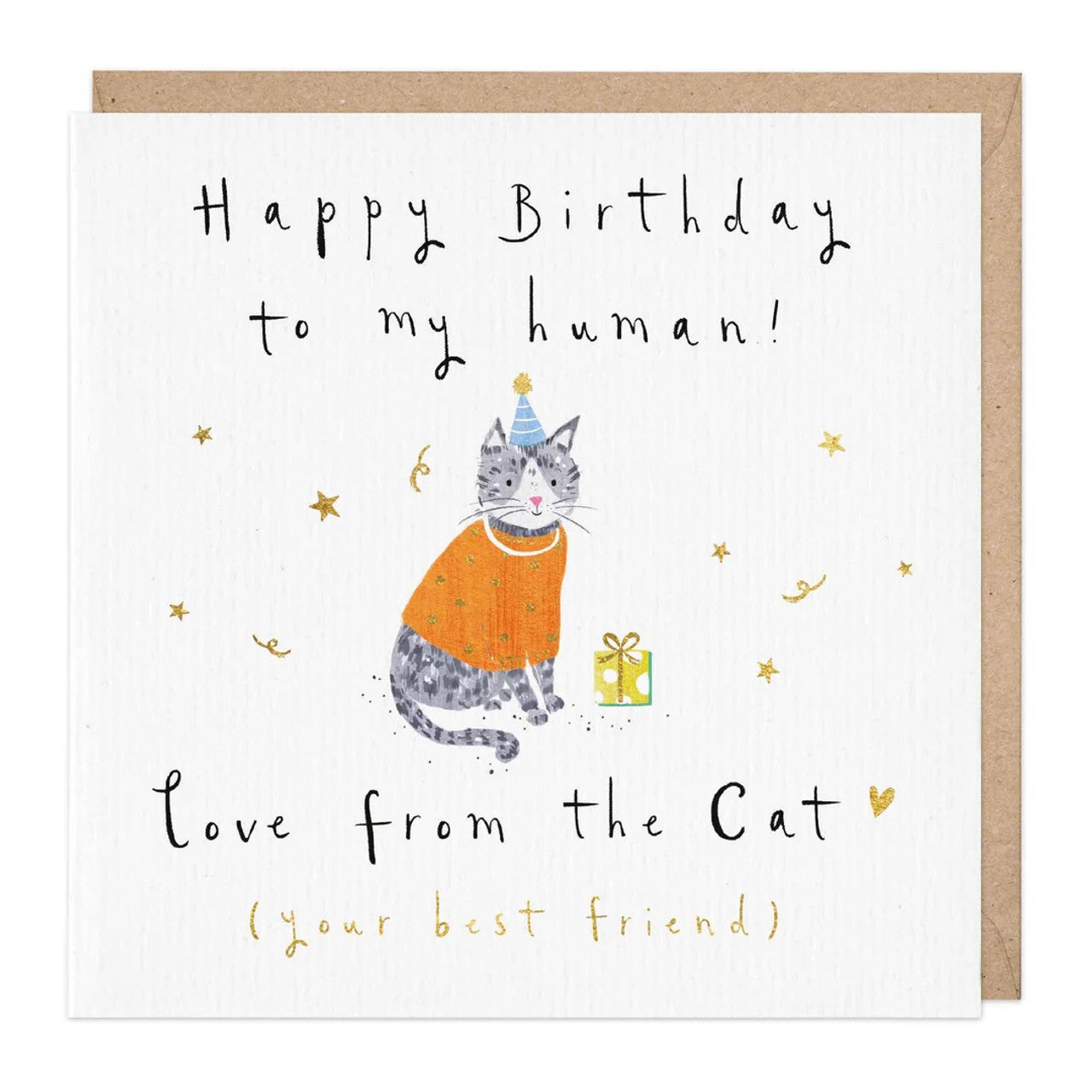 Whistlefish Birthday card CAT orange jumper