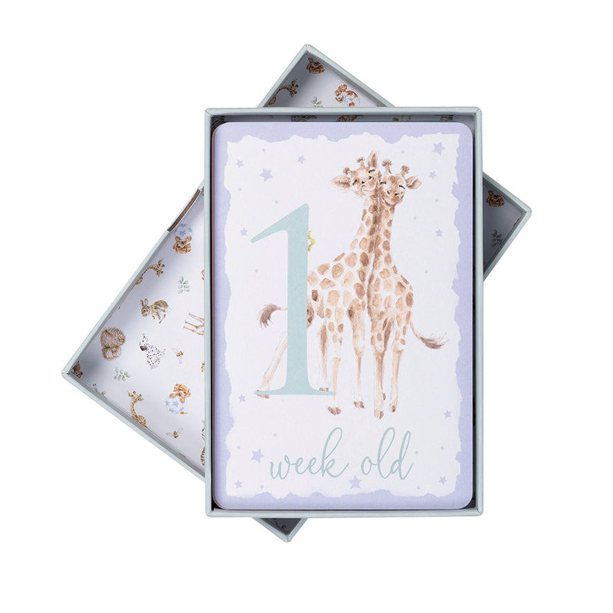 Wrendale Designs Little Wren Milestone Cards BABY ANIMALS