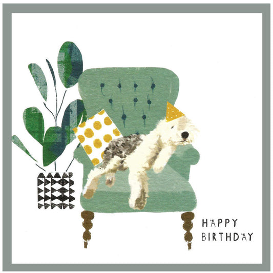 Cinnamon Aitch Margot Birthday Card Dog TOO MUCH CAKE