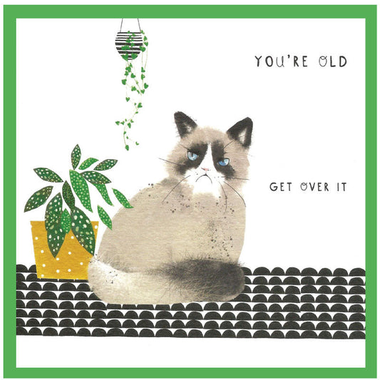 Cinnamon Aitch Margot Birthday Card Cat YOU'RE OLD