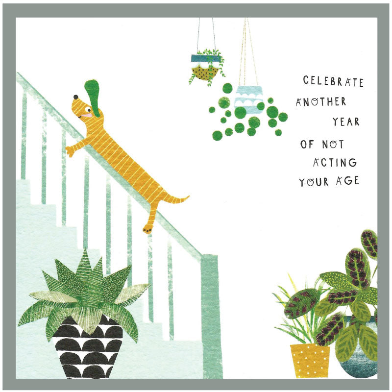 Cinnamon Aitch Margot Birthday Card Dog ACTING YOUR AGE