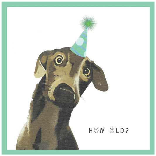 Cinnamon Aitch Margot Birthday Card Dog HOW OLD?