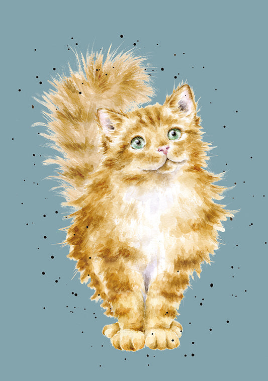 Wrendale Designs Notebook A6 CAT fluffy ginger