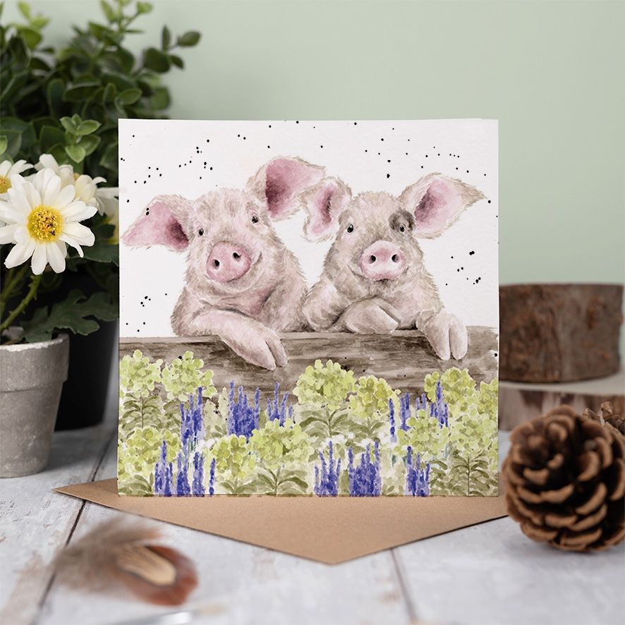Wrendale Designs card Country Set NOSY NEIGHBOURS pigs