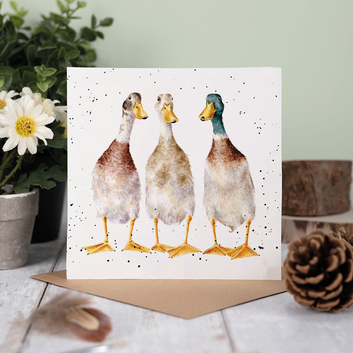 Wrendale Designs card Country Set TALL ORDER ducks three
