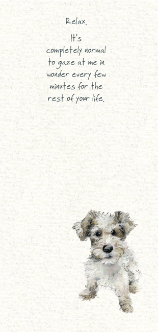 The Little Dog Laughed Premium Card Dog WIREHAIRED TERRIER Lottie