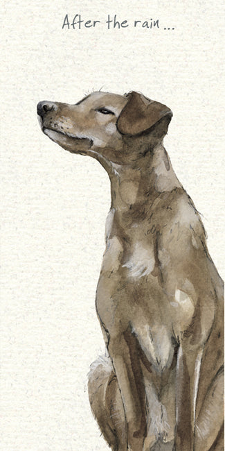 The Little Dog Laughed Premium Card Dog RESCUE PONDENCO/LURCHERX Sprogg