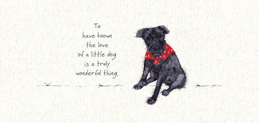 The Little Dog Laughed Premium Card Dog PATTERDALE TERRIER Gracie