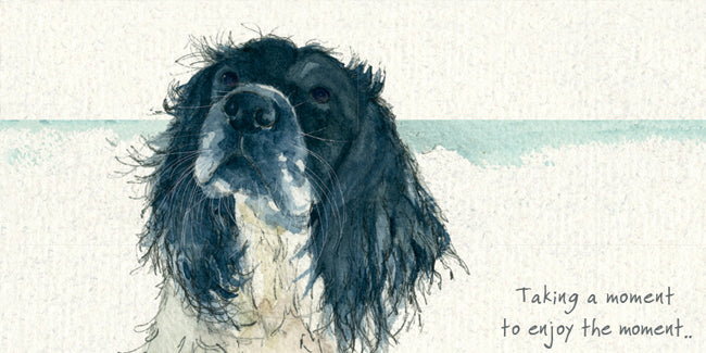 The Little Dog Laughed Premium Card Dog SPRINGER SPANIEL Martha