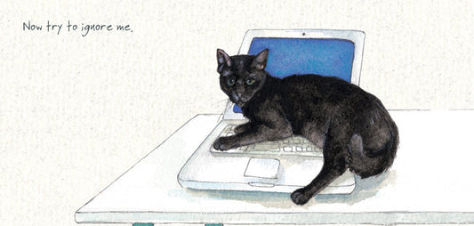 The Little Dog Laughed Premium Card Cat BLACK Velvet