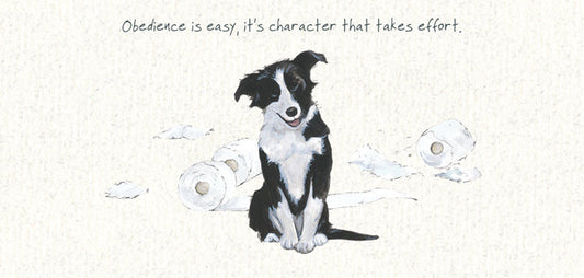 The Little Dog Laughed Premium Card Dog BORDER COLLIE PUPPY Henry