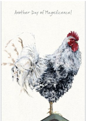 The Little Dog Laughed Greeting Card Chook BLACK & WHITE ROOSTER Jack