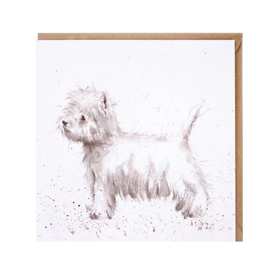 Wrendale Designs card Country Set SCAMP yorkshire terrier