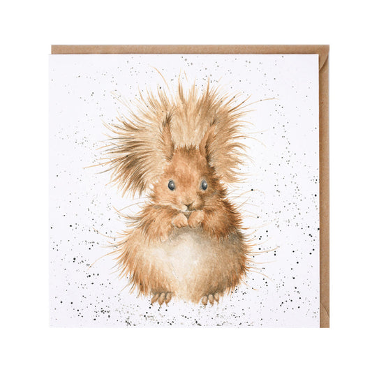 Wrendale Designs card Country Set REDHEAD squirrel