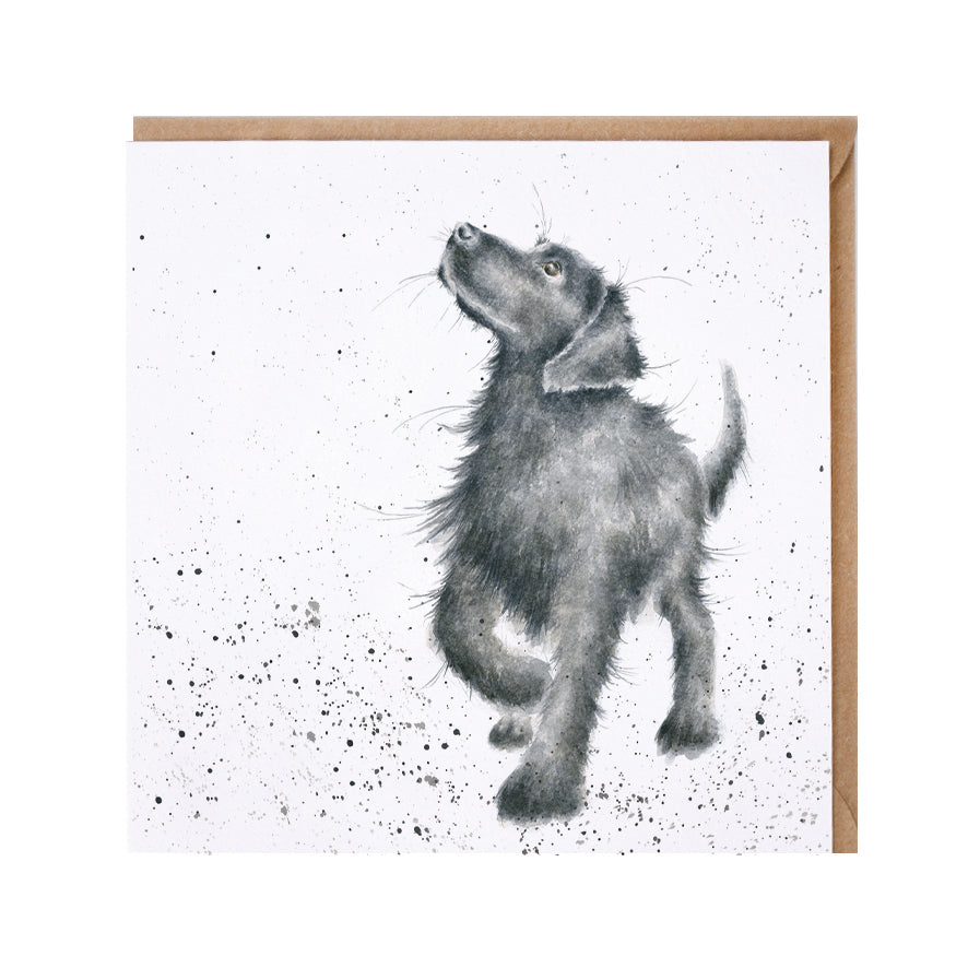 Wrendale Designs card Country Set WALKIES labrador