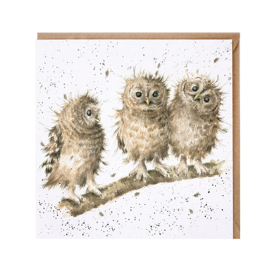Wrendale Designs card Country Set YOU FIRST owlets