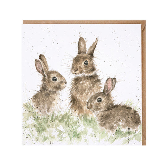 Wrendale Designs card Country Set BORN FREE 3 rabbits