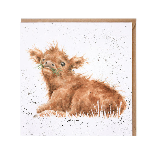 Wrendale Designs card Country Set WEE HAMISH highland calf