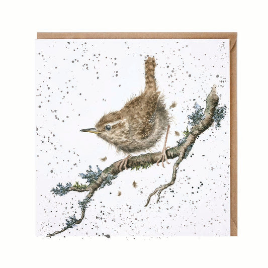 Wrendale Designs card Country Set THE KING OF BIRDS wren 