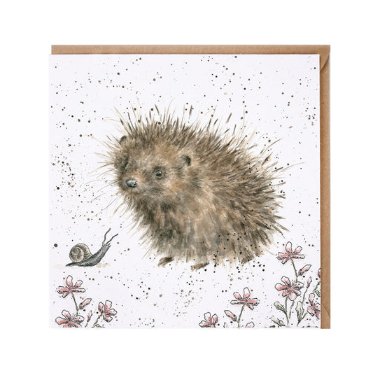 Wrendale Designs card Country Set A PRICKLY ENCOUNTER hedgehog snail