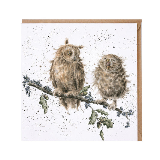 Wrendale Designs card Country Set THE TWITS owls