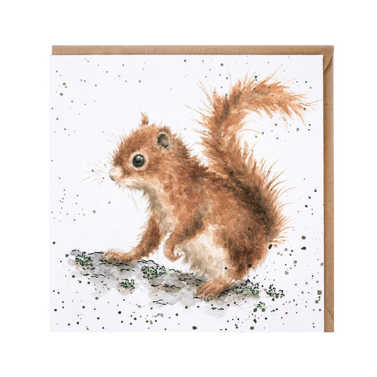 Wrendale Designs card Country Set ACORNS squirrel