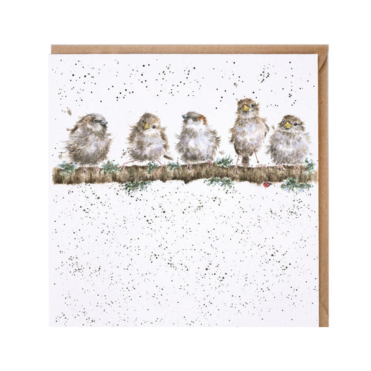 Wrendale Designs card Country Set CHIRPY CHAPS wrens