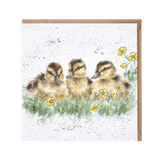 Wrendale Designs card Country Set BUTTERCUP ducklings