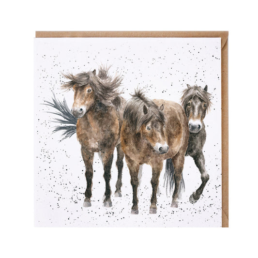 Wrendale Designs card Country Set THREE AMIGOS exmoor ponies