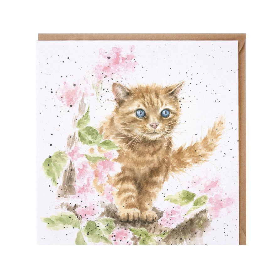 Wrendale Designs card Country Set THE MARMALADE CAT ginger cat