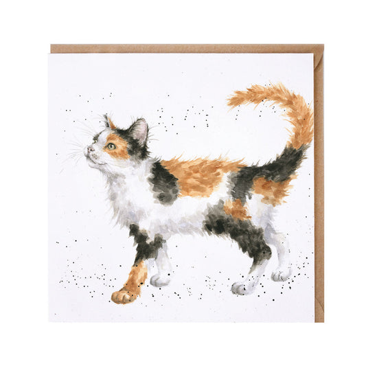 Wrendale Designs card Country Set CALICO CAT cat