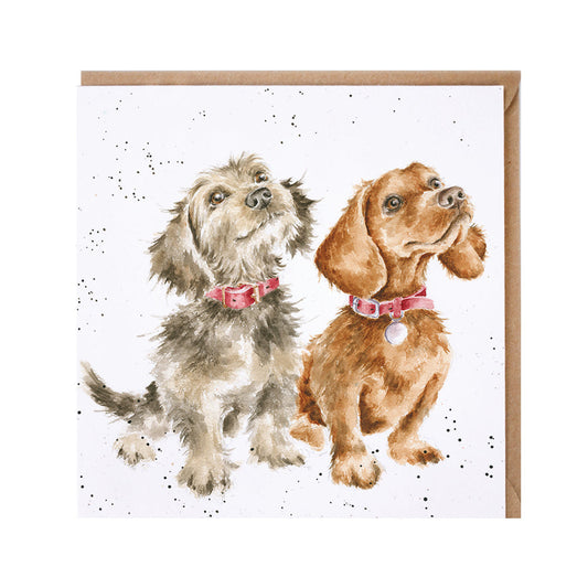 Wrendale Designs card Country Set TREAT TIME dogs