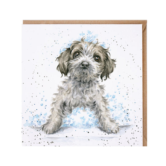 Wrendale Designs card Country Set BUBBLES AND BARKS dog maltese X
