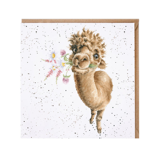 Wrendale Designs card Country Set HAND-PICKED FOR YOU alpacca