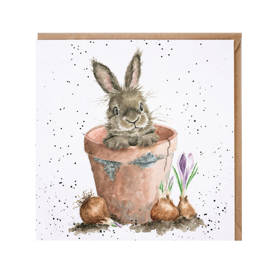Wrendale Designs card Country Set THE FLOWERPOT rabbit flowerpot
