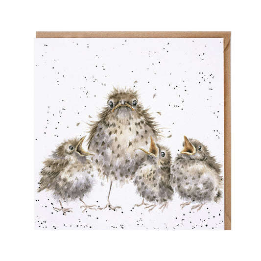 Wrendale Designs card Country Set FRAZZLED wren chicks