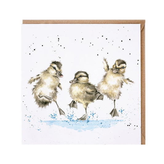 Wrendale Designs card Country Set PUDDLE DUCKS ducklings