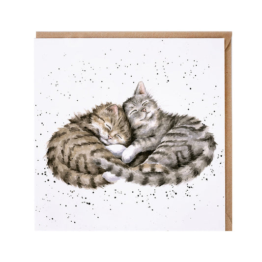 Wrendale Designs card Country Set SWEET DREAMS kittens