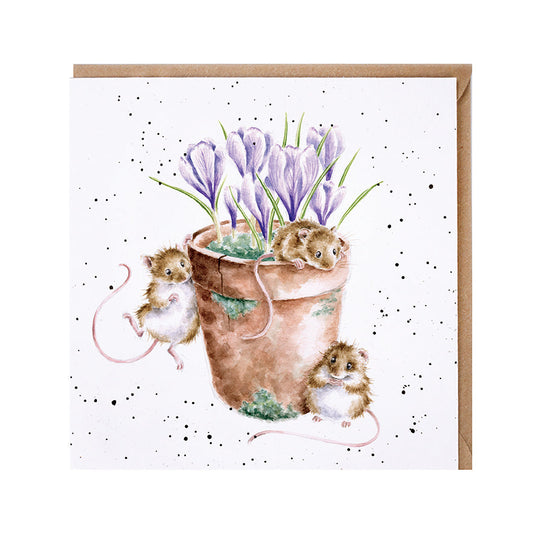 Wrendale Designs card Country Set GARDEN FRIENDS mice flower pot