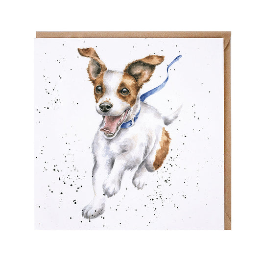 Wrendale Designs card Country Set FREEDOM jack russell