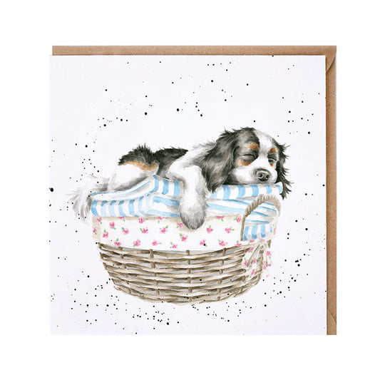 Wrendale Designs card Country Set WASH DRY FOLD REPEAT spaniel