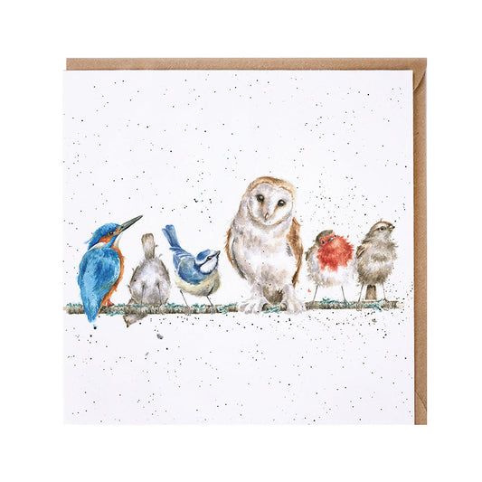 Wrendale Designs card Country Set THE VARIETY OF LIFE birds