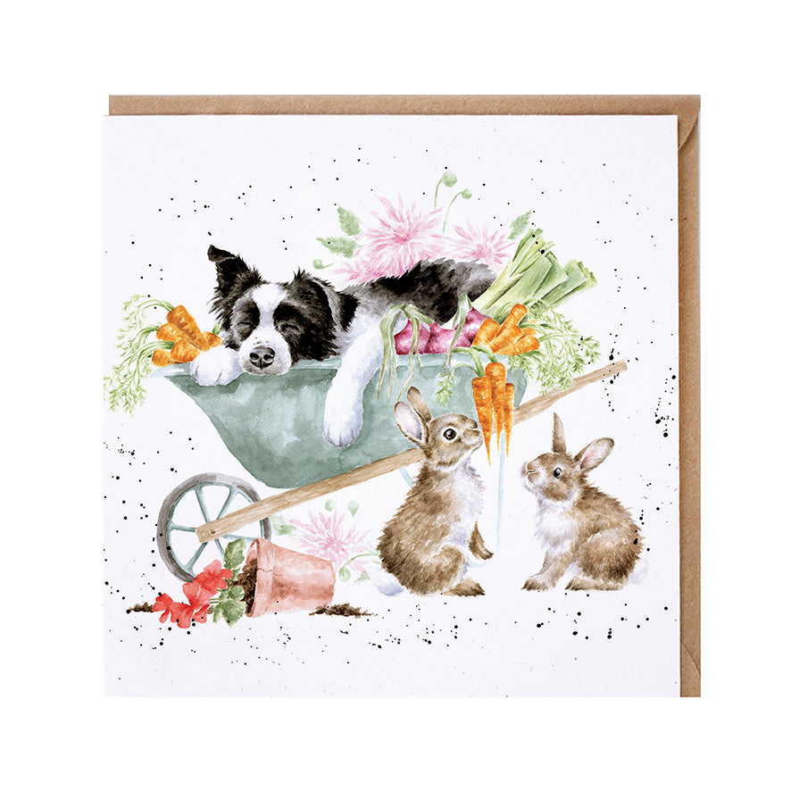 Wrendale Designs card Country Set SLEEPING ON THE JOB border collie