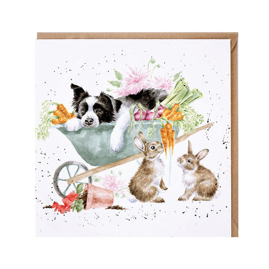 Wrendale Designs card Country Set SLEEPING ON THE JOB border collie 