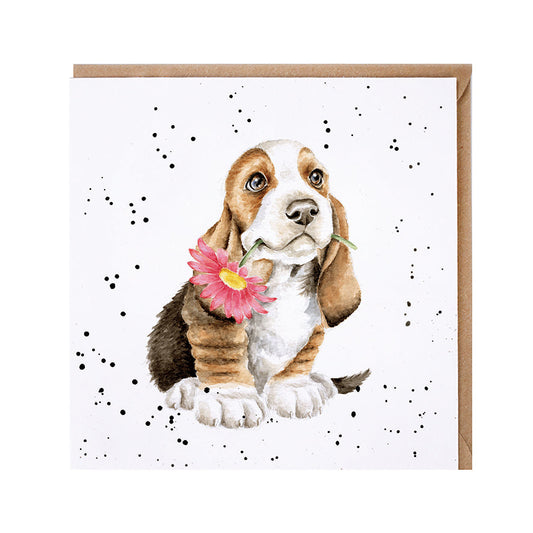 Wrendale Designs card Country Set JUST FOR YOU basset-hound