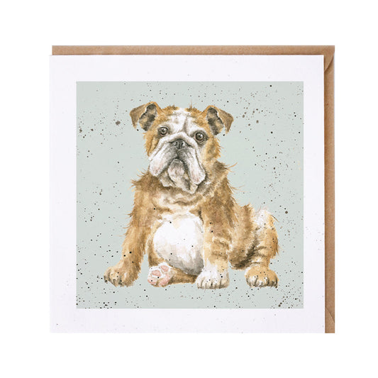 Wrendale Designs card Dog Breeds BRITISH BULLDOG