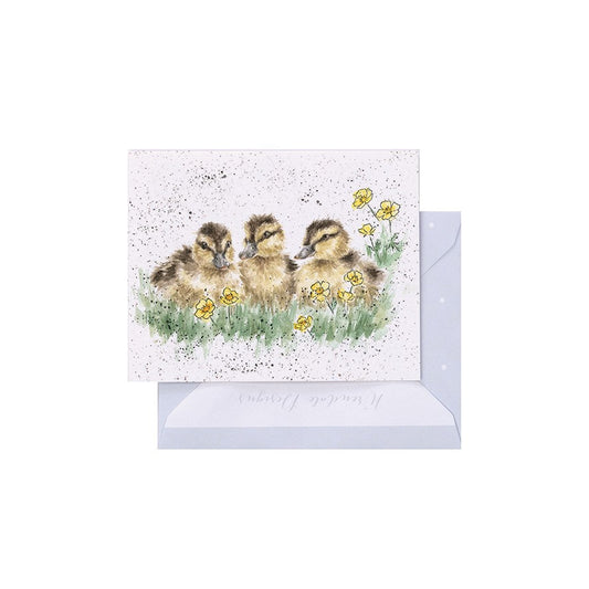 Wrendale Designs Mini card Ducklings BUTTERCUPS  