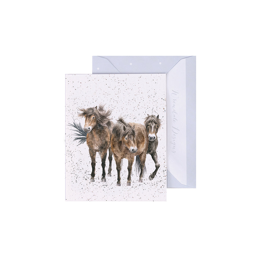 Wrendale Designs Mini card Horses THREE AMIGOS